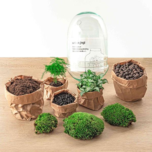 DIY terrarium - Egg XL - ↕ 30 cm - Happy City Plants