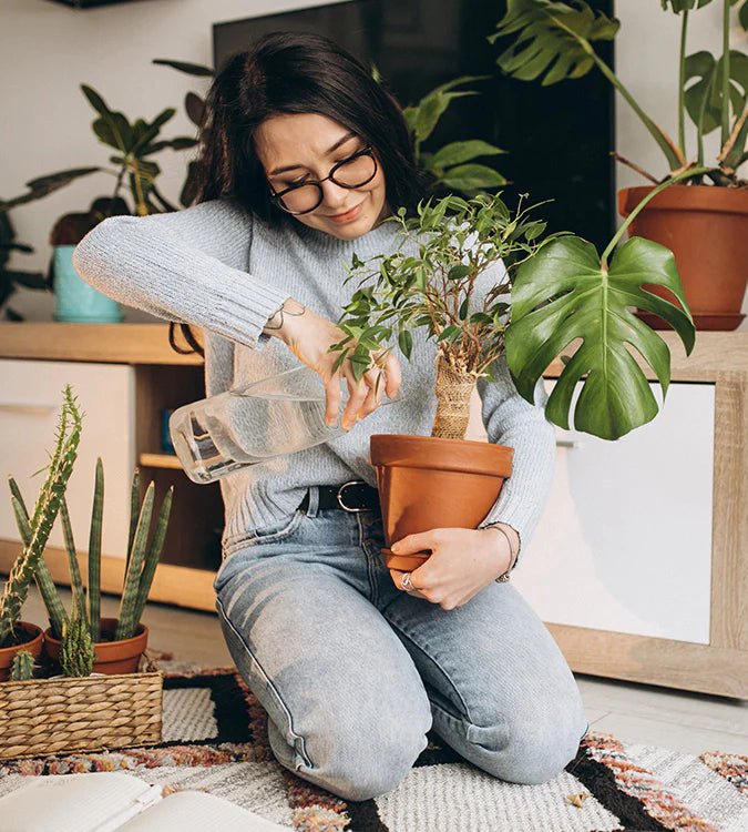 Groen in de Stad: Maak van Elk Hoekje een Oase 🌱 - Happy City Plants