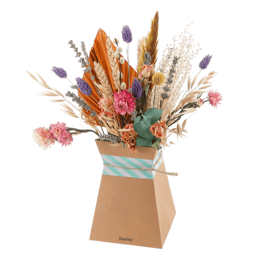 BloomPosy Pastel & Vouwvaas – Tijdloze droogbloemen in zachte tinten - Happy City Plants