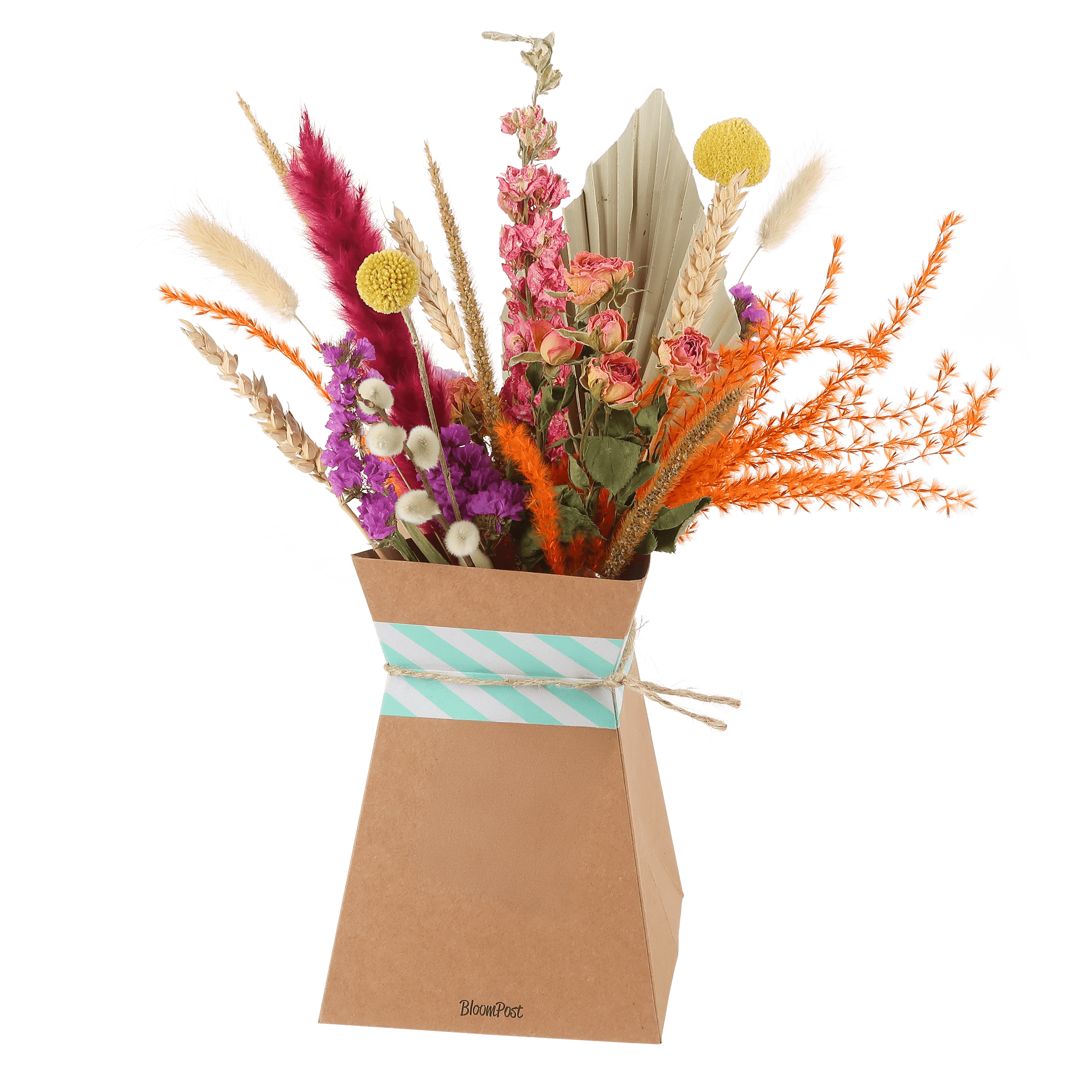 BloomPosy & Vouwvaas – Trendy & Tijdloos droogbloemen cadeau 🌸✨ - Happy City Plants