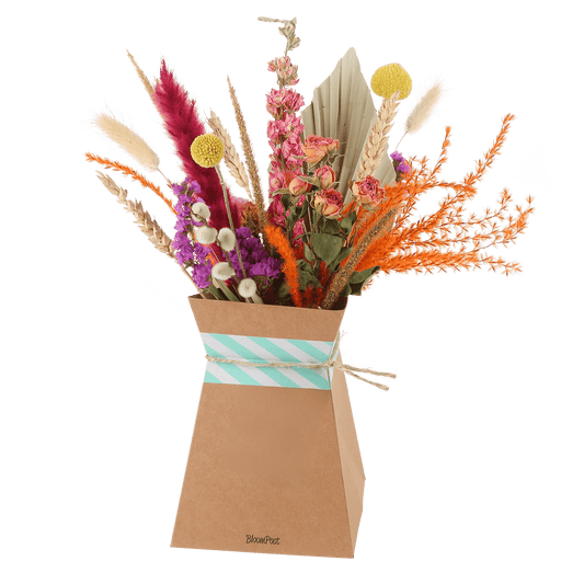 BloomPosy & Vouwvaas – Trendy & Tijdloos droogbloemen cadeau 🌸✨ - Happy City Plants