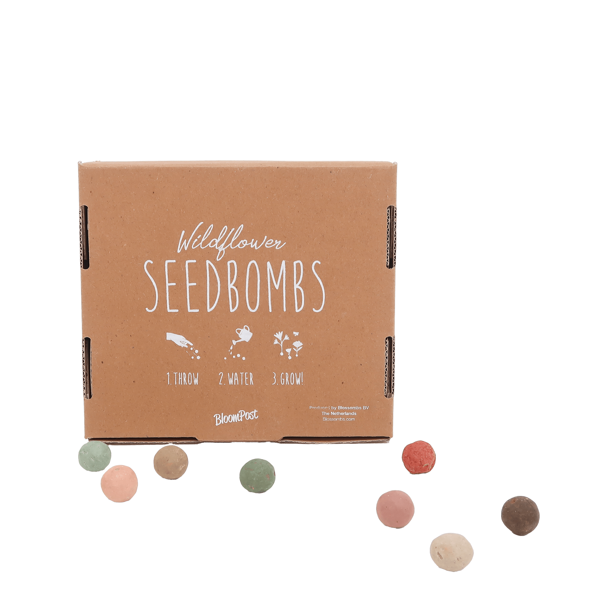 Brievenbus Bloembommetjes – Kleurrijk cadeautje vol bloemenmagie 🌼💌 - Happy City Plants