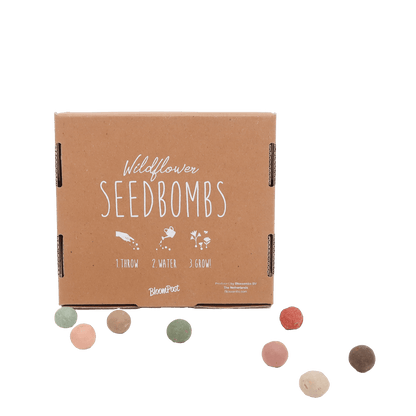 Brievenbus Bloembommetjes – Kleurrijk cadeautje vol bloemenmagie 🌼💌 - Happy City Plants