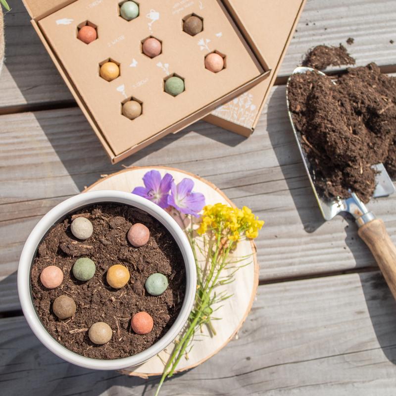 Brievenbus Bloembommetjes – Kleurrijk cadeautje vol bloemenmagie 🌼💌 - Happy City Plants
