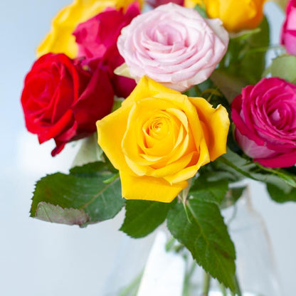 Brievenbus Kleurrijke Rozen – Een vrolijk en feestelijk cadeau 🌹✨ - Happy City Plants
