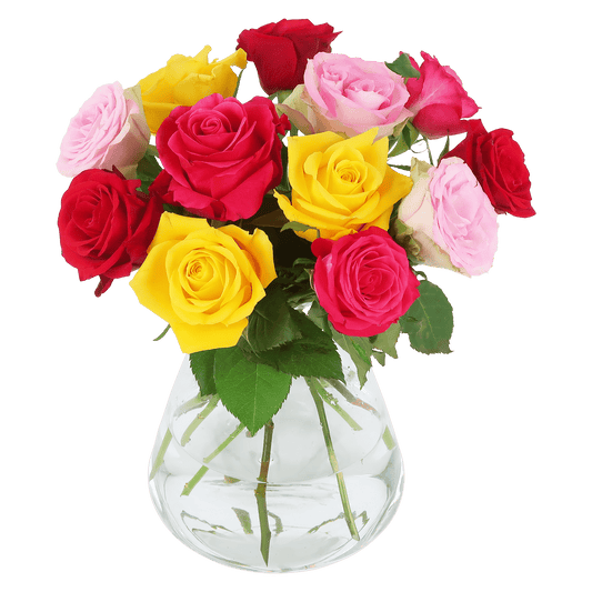 Brievenbus Kleurrijke Rozen – Een vrolijk en feestelijk cadeau 🌹✨ - Happy City Plants