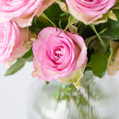 Brievenbus Sweet Roses – Elegante roze rozen door de brievenbus 🌹💖 - Happy City Plants