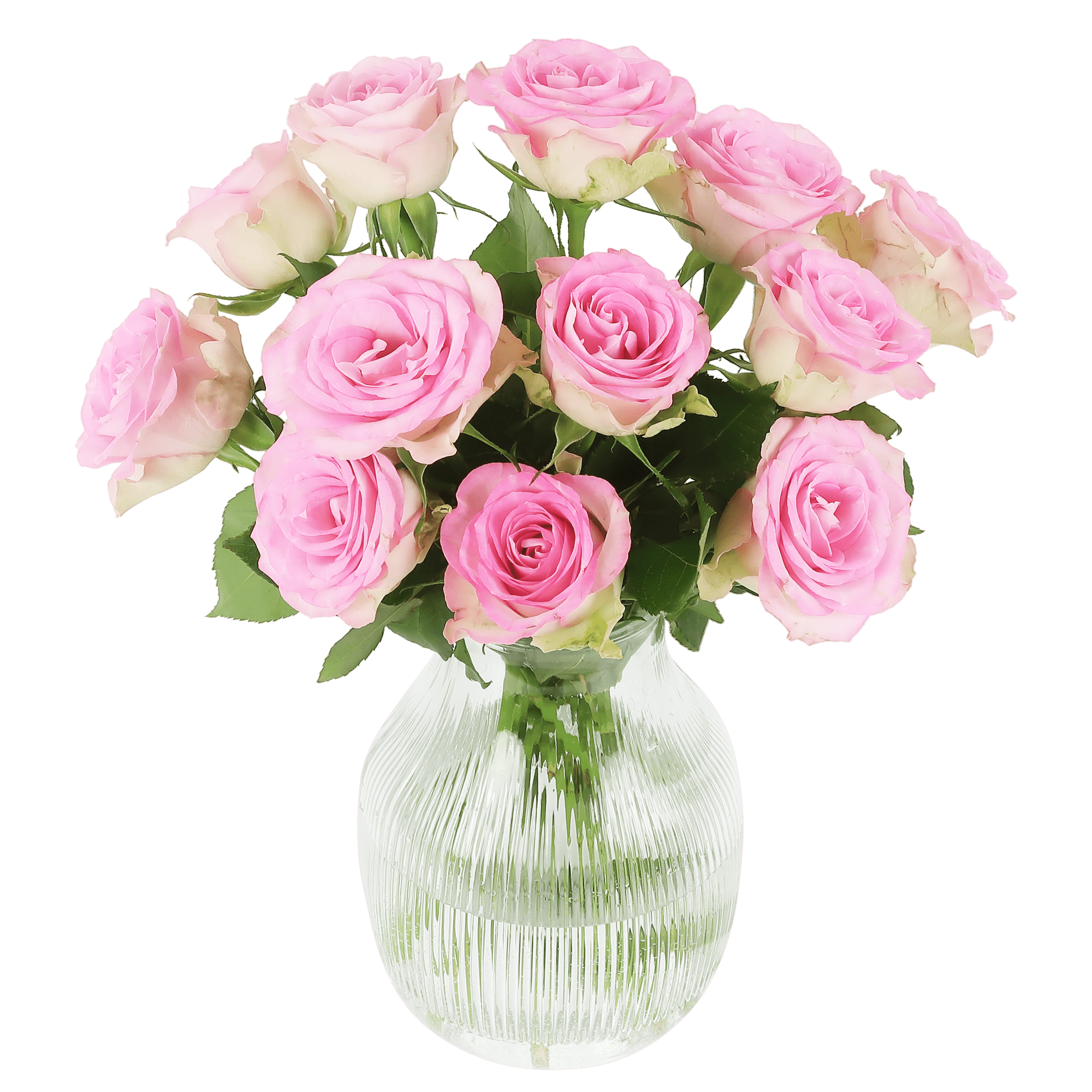 Brievenbus Sweet Roses – Elegante roze rozen door de brievenbus 🌹💖 - Happy City Plants