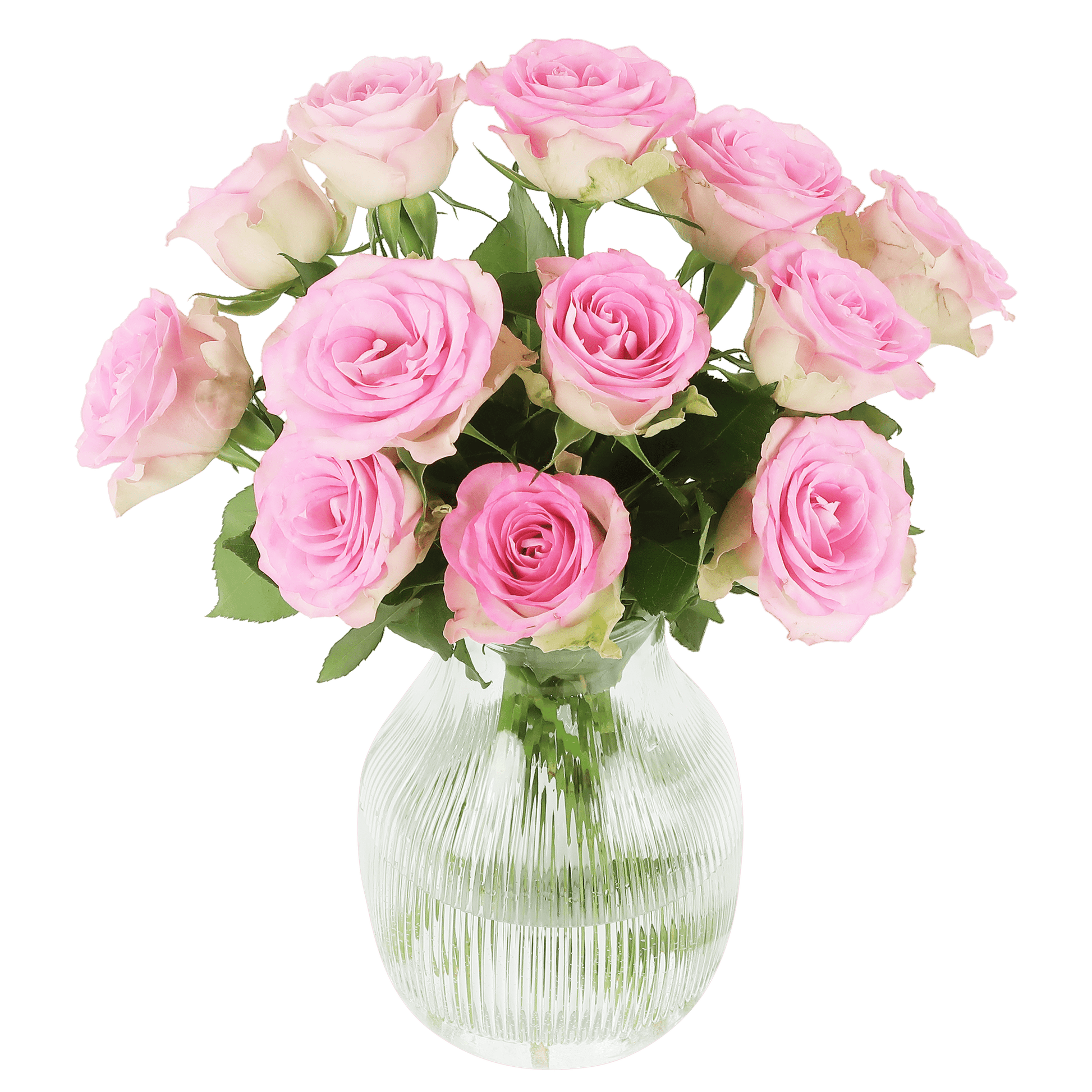 Brievenbus Sweet Roses – Elegante roze rozen door de brievenbus 🌹💖 - Happy City Plants