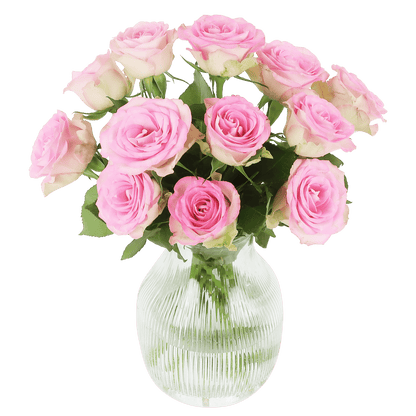 Brievenbus Sweet Roses – Elegante roze rozen door de brievenbus 🌹💖 - Happy City Plants