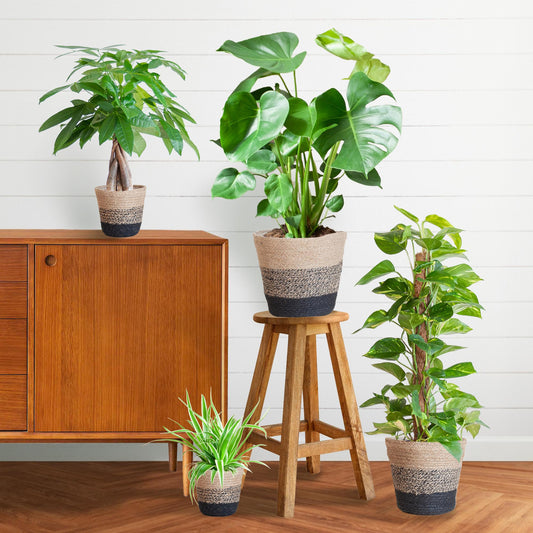 Easy care Plantenbox - medium - met Mand Lissabon zwart - Happy City Plants