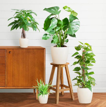 Easy care Plantenbox - medium - met vibers pot wit - Happy City Plants