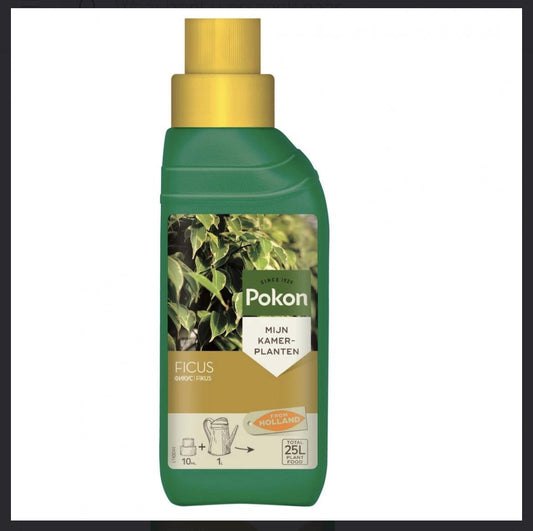 Ficus Plant Voeding 250ML - Happy City Plants