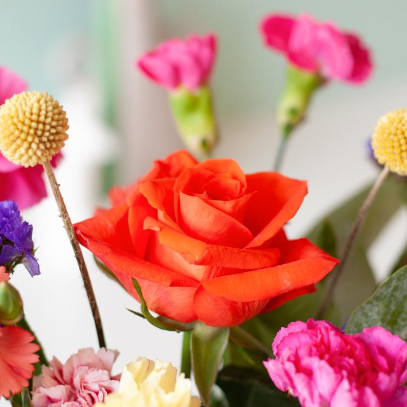 Flair Brievenbus Bloemen – Vrolijk en kleurrijk verrassing! 🌸 - Happy City Plants