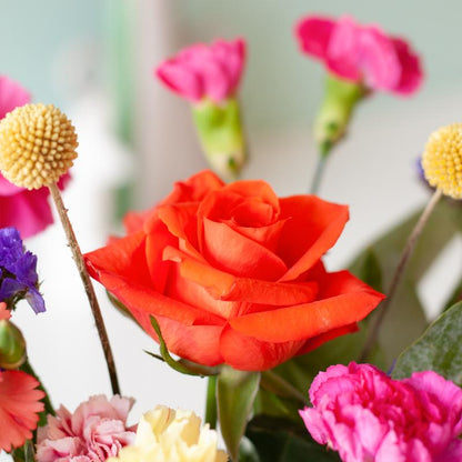 Flair Brievenbus Bloemen – Vrolijk en kleurrijk verrassing! 🌸 - Happy City Plants