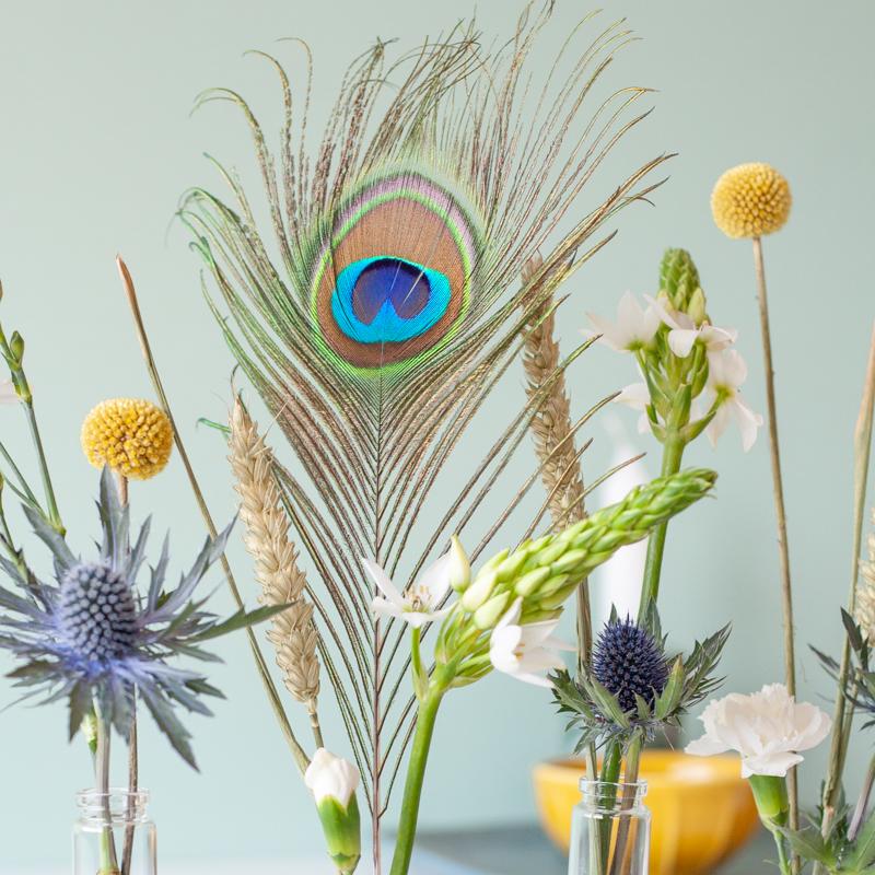 Flower Fest – Feestelijk brievenbuscadeau met bloemen & vaasjes 🎉🌸 - Happy City Plants
