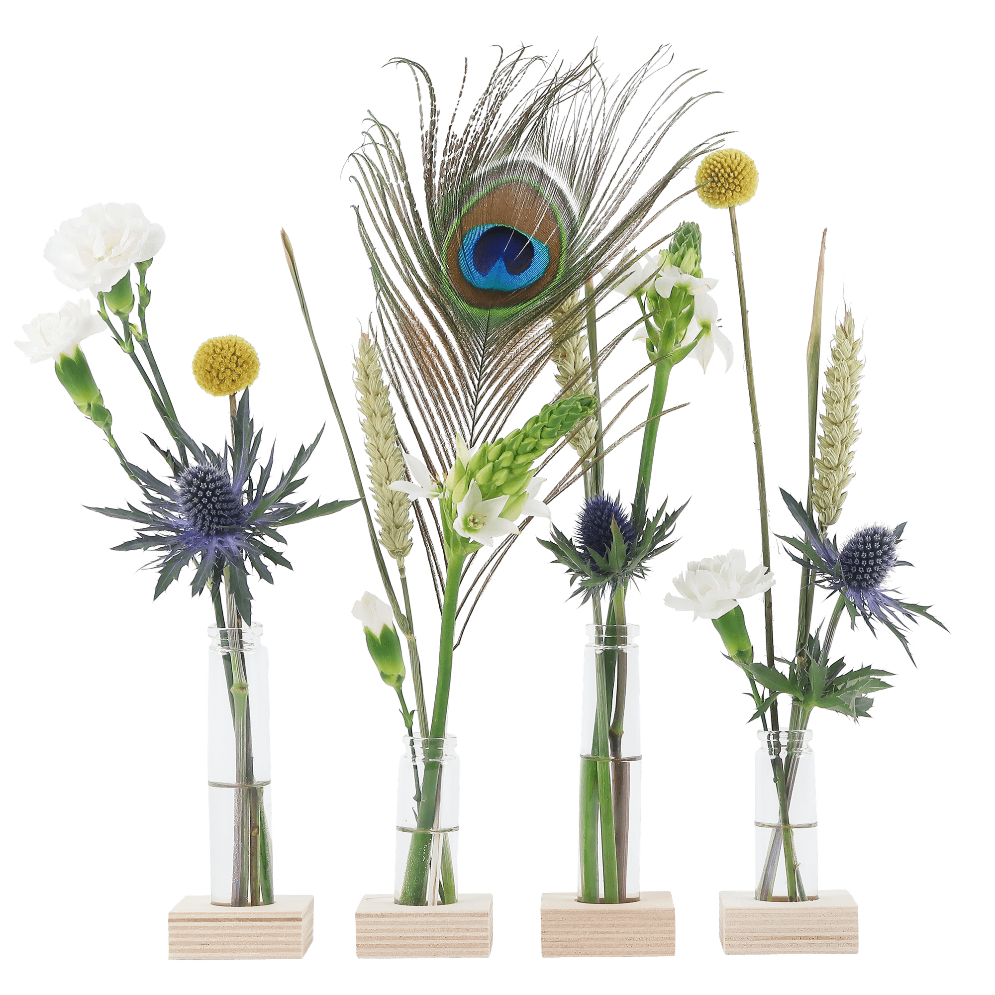 Flower Fest – Feestelijk brievenbuscadeau met bloemen & vaasjes 🎉🌸 - Happy City Plants