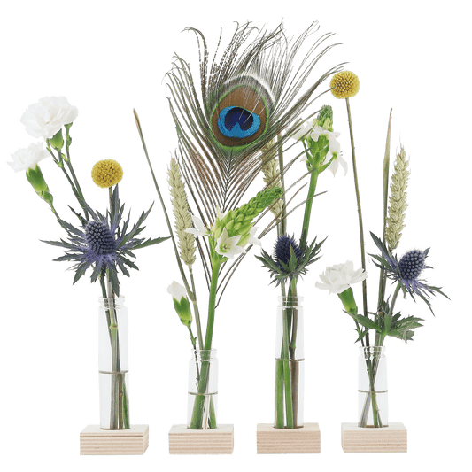 Flower Fest – Feestelijk brievenbuscadeau met bloemen & vaasjes 🎉🌸 - Happy City Plants