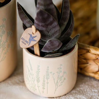 Kolibri Home | Floral bloempot - Light Blue - 6cm - Happy City Plants