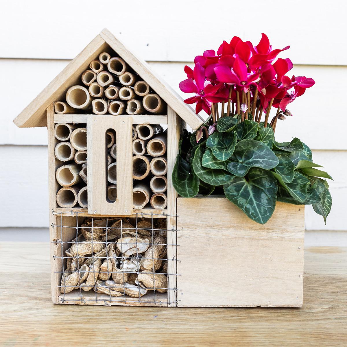 Kolibri Home | Insect Hotel deocorative pot - Happy City Plants