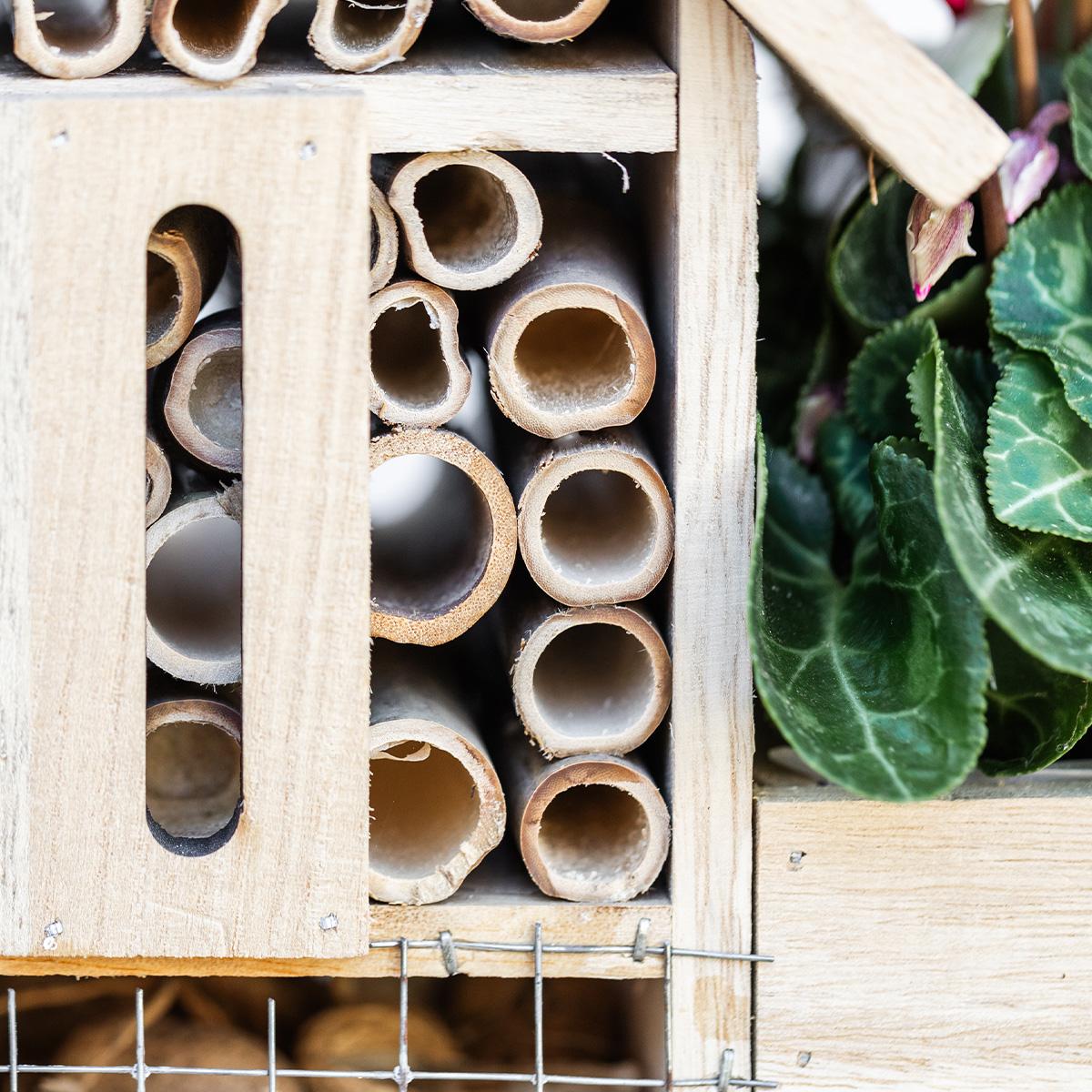 Kolibri Home | Insect Hotel deocorative pot - Happy City Plants