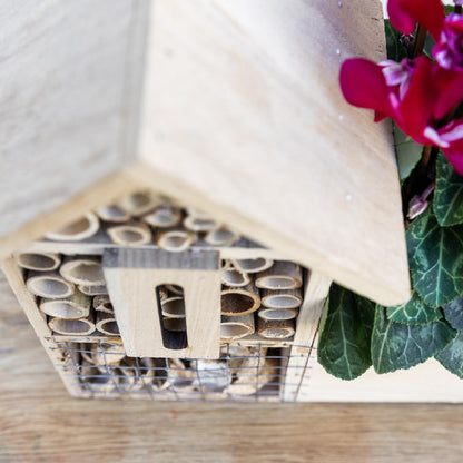 Kolibri Home | Insect Hotel deocorative pot - Happy City Plants
