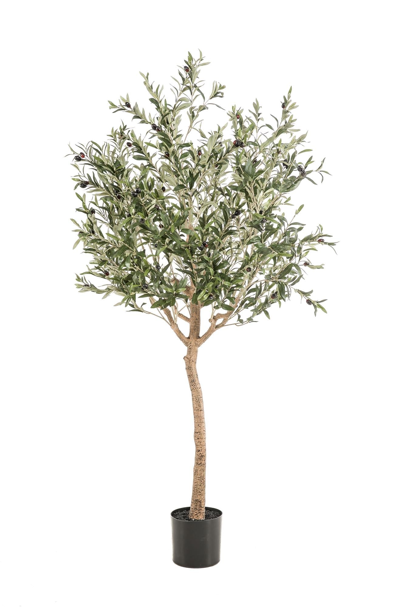Kunst Olijfboom - Olea europaea - Olijfboom - 180 cm - Happy City Plants