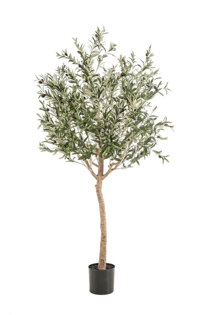 Kunst Olijfboom - Olea europaea - Olijfboom - 180 cm - Happy City Plants