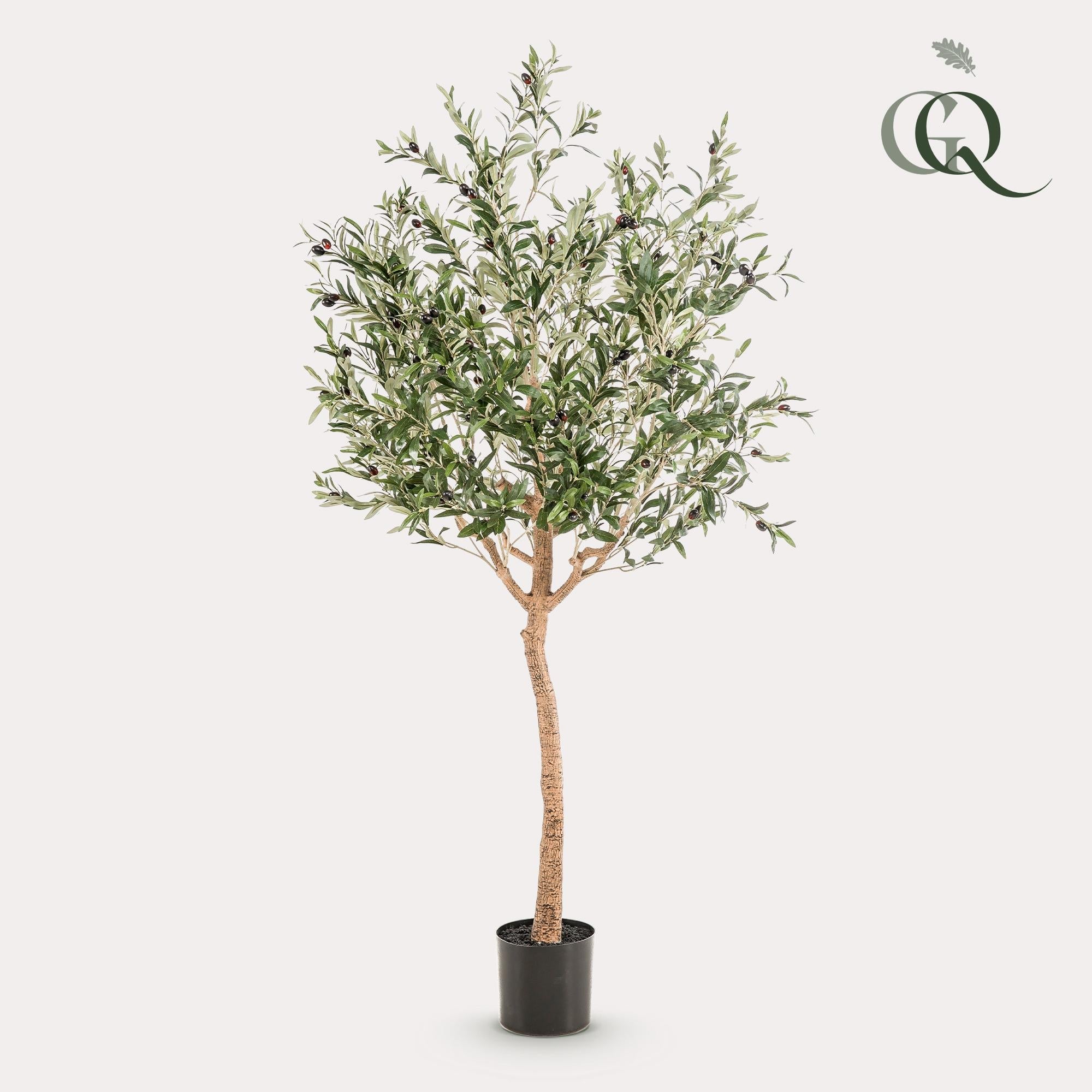 Kunst Olijfboom - Olea europaea - Olijfboom - 180 cm - Happy City Plants