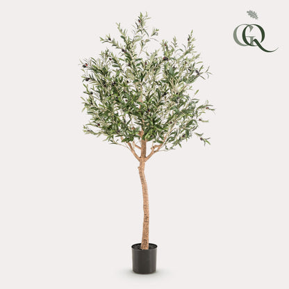 Kunst Olijfboom - Olea europaea - Olijfboom - 180 cm - Happy City Plants
