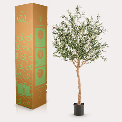 Kunst Olijfboom - Olea europaea - Olijfboom - 180 cm - Happy City Plants
