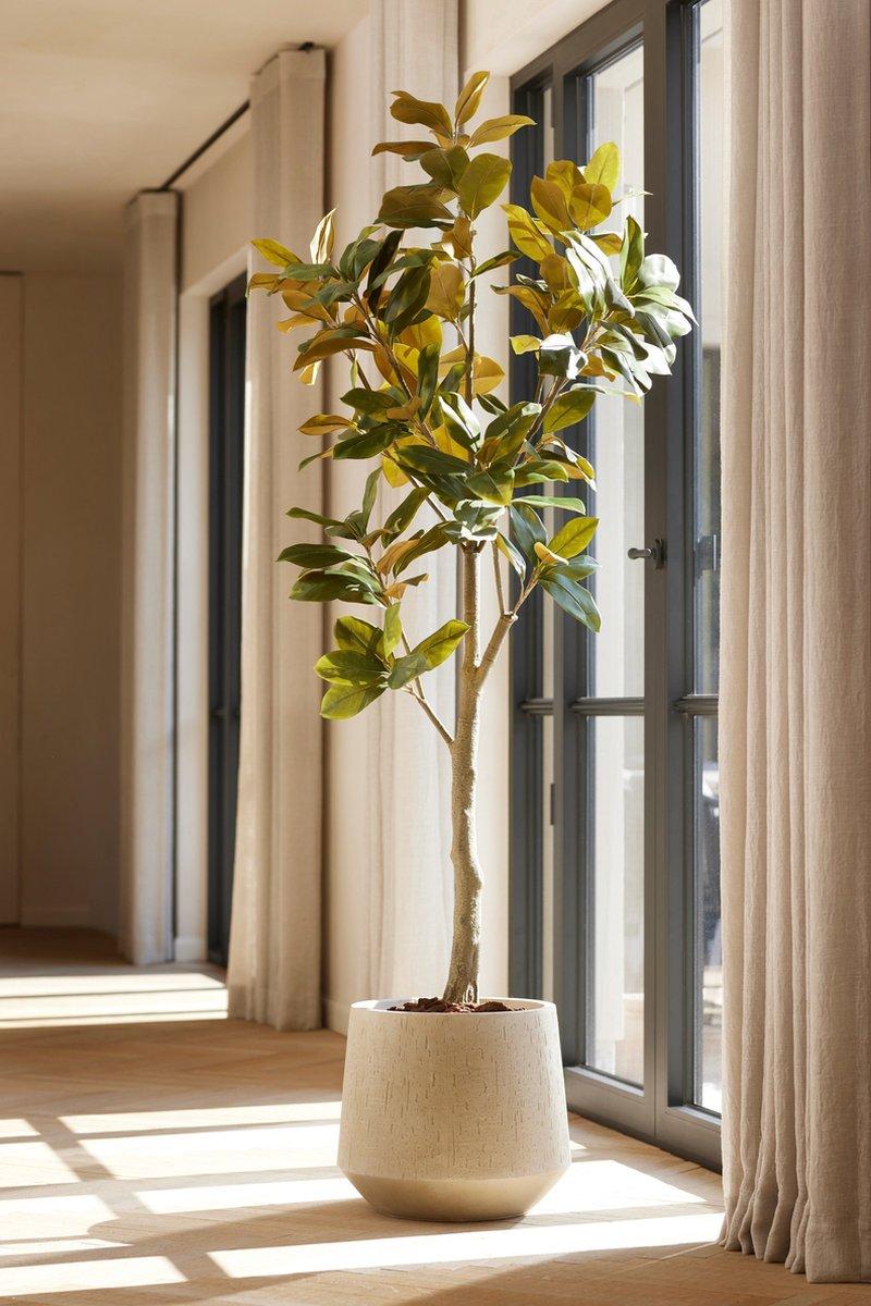 Magnolia Denudata - 150 cm - Kunstboom - Kunstplant - Happy City Plants