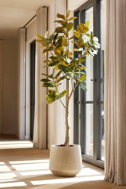 Magnolia Denudata - 150 cm - Kunstboom - Kunstplant - Happy City Plants