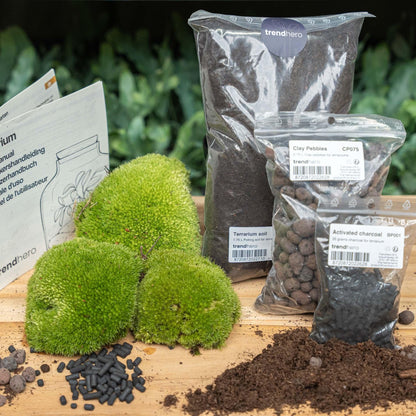 Planten terrarium navulling & startpakket - Maat L/XL - Happy City Plants
