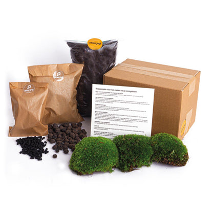 Planten terrarium navulling & startpakket - Maat L/XL - Happy City Plants