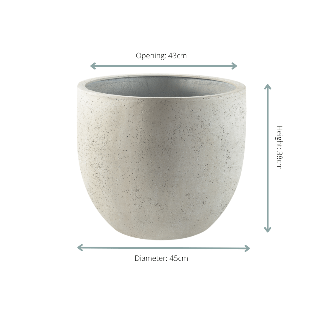 Pot Grigio New Egg Antique White - D45 x H38 - Happy City Plants