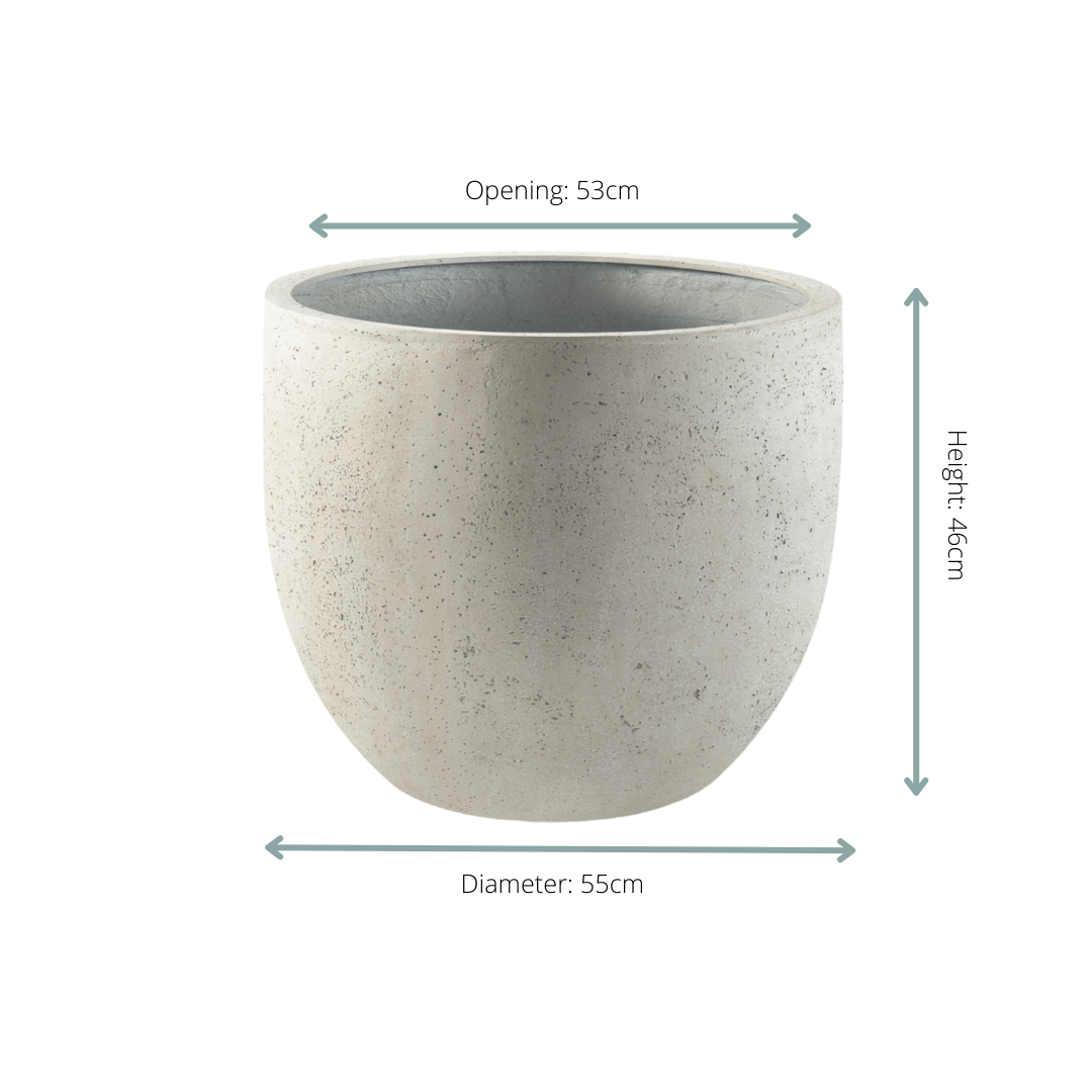 Pot Grigio New Egg Antique White - D55 x H46 - Happy City Plants