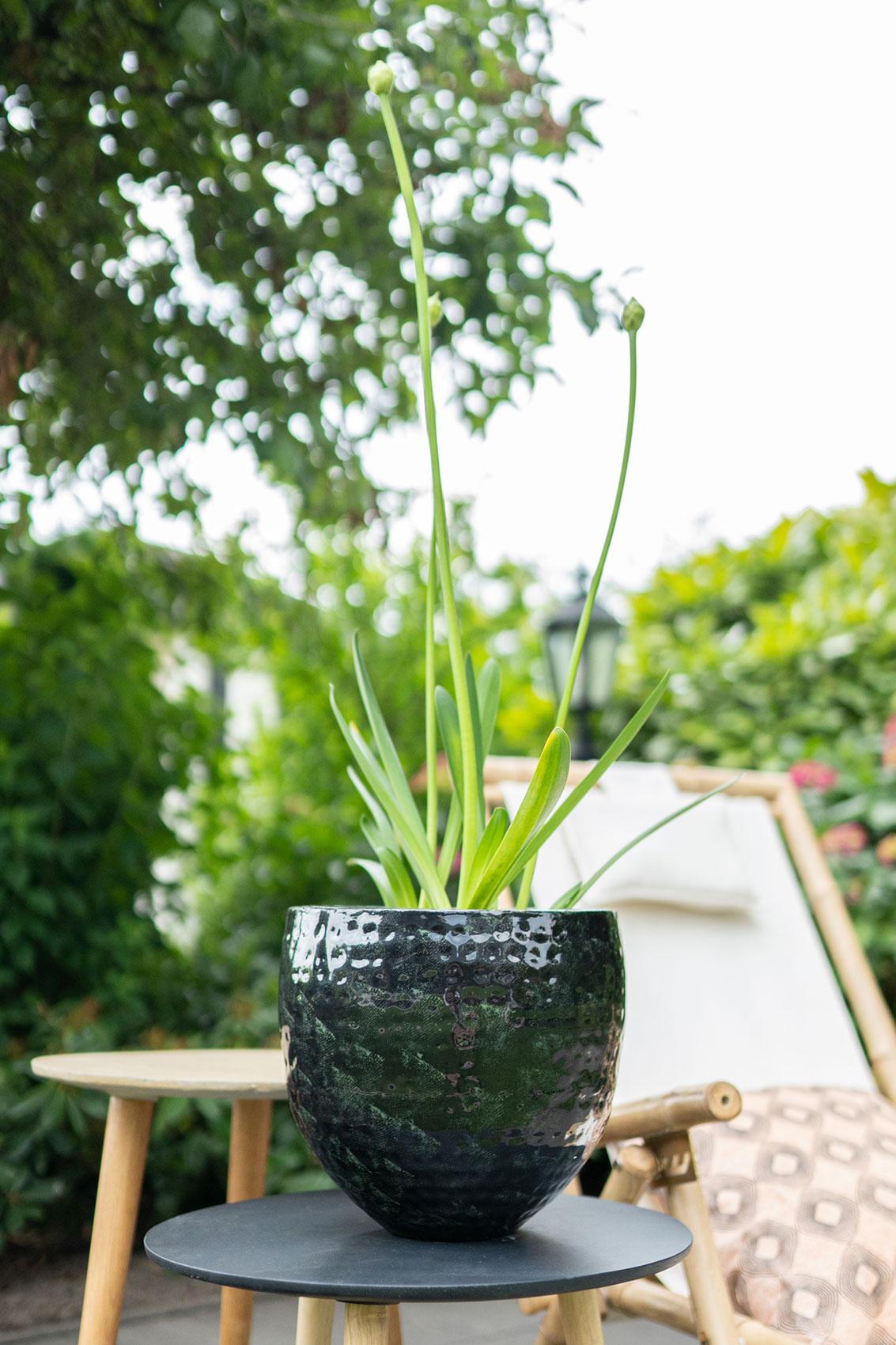 Set van 3 potten - Thom Zwart metaal - Width - Happy City Plants