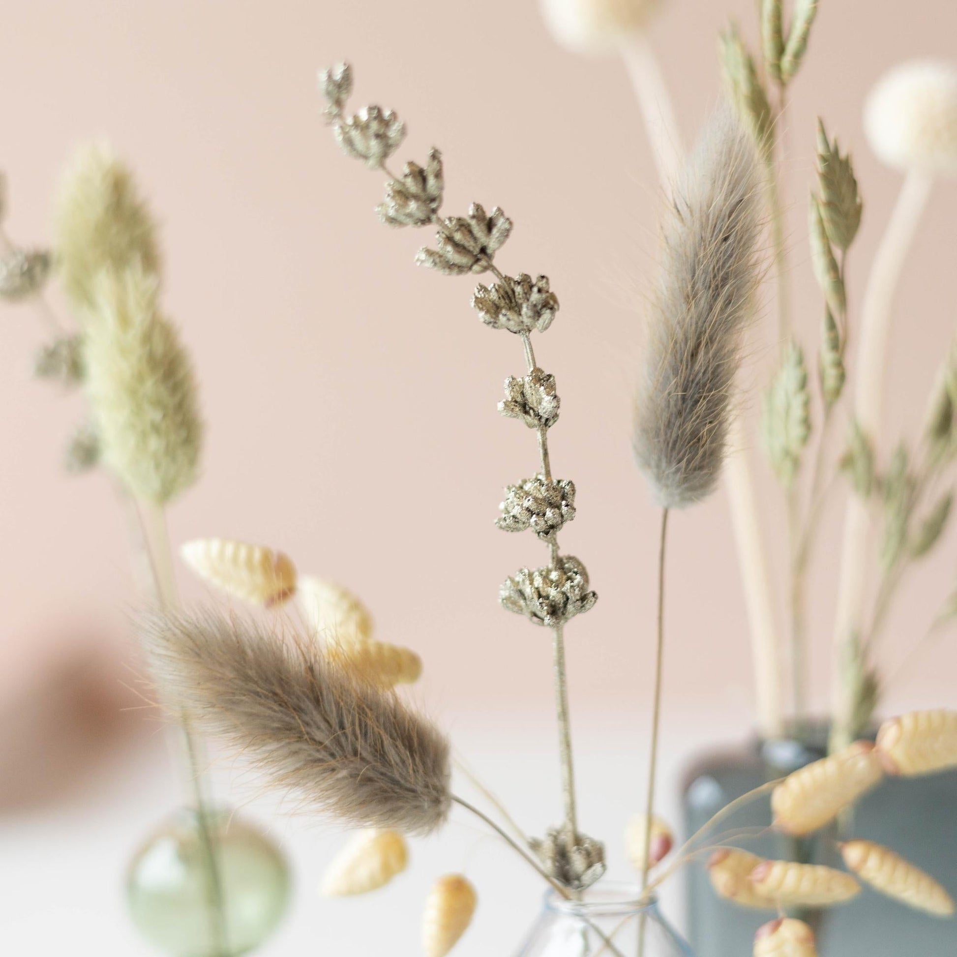 Stijlvol Droogbloemen Cadeau met Vaasjes – Duurzaam & tijdloos brievenbuscadeau 🌸✨ - Happy City Plants