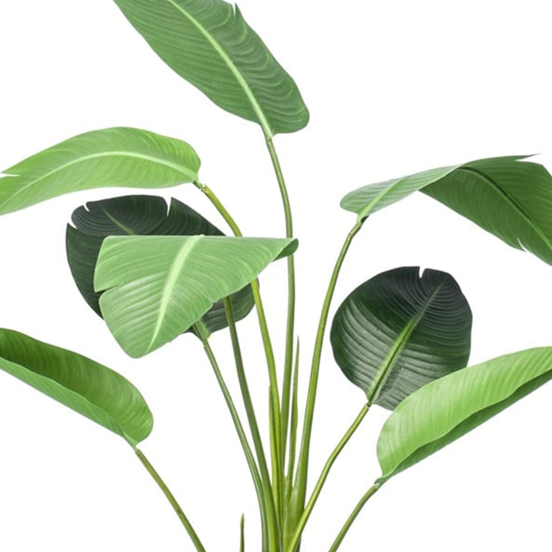 Strelitzia - 120cm - In zwarte pot - Kunstplant - Happy City Plants