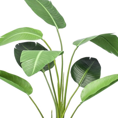 Strelitzia - 120cm - In zwarte pot - Kunstplant - Happy City Plants