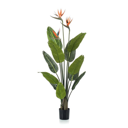 Strelitzia met bloemen - 120cm - In zwarte pot - Kunstplant - Happy City Plants