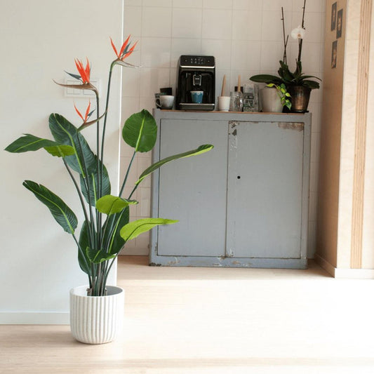 Strelitzia met bloemen - 120cm - In zwarte pot - Kunstplant - Happy City Plants