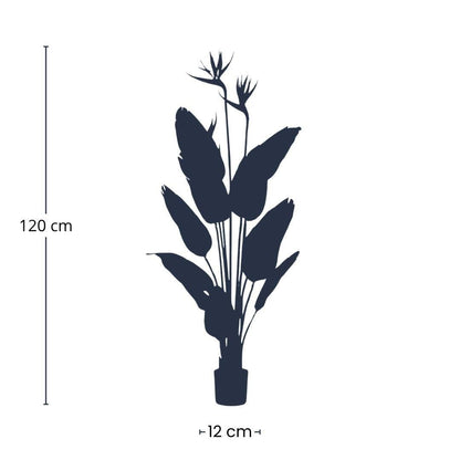 Strelitzia met bloemen - 120cm - In zwarte pot - Kunstplant - Happy City Plants