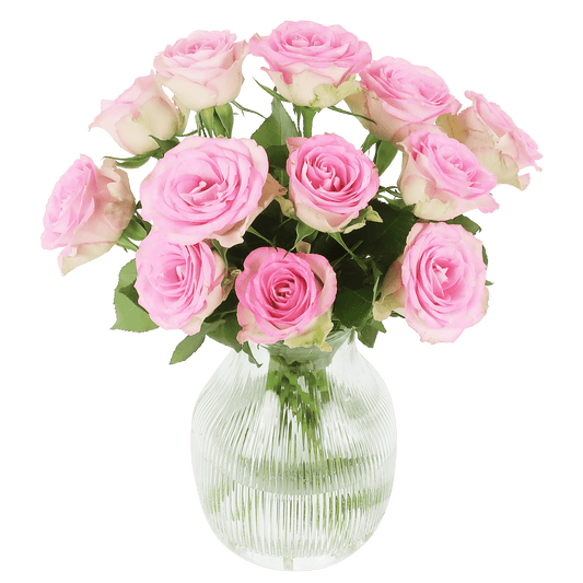 Sweet roses - roze rozen in brievenbuspakket - Happy City Plants