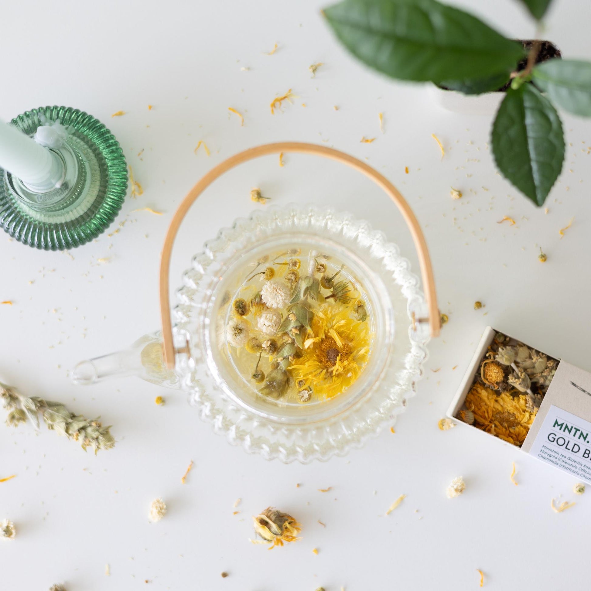 Tea Break Brievenbus Cadeau – Biologische thee & baby theeplantje ☕🌱 - Happy City Plants