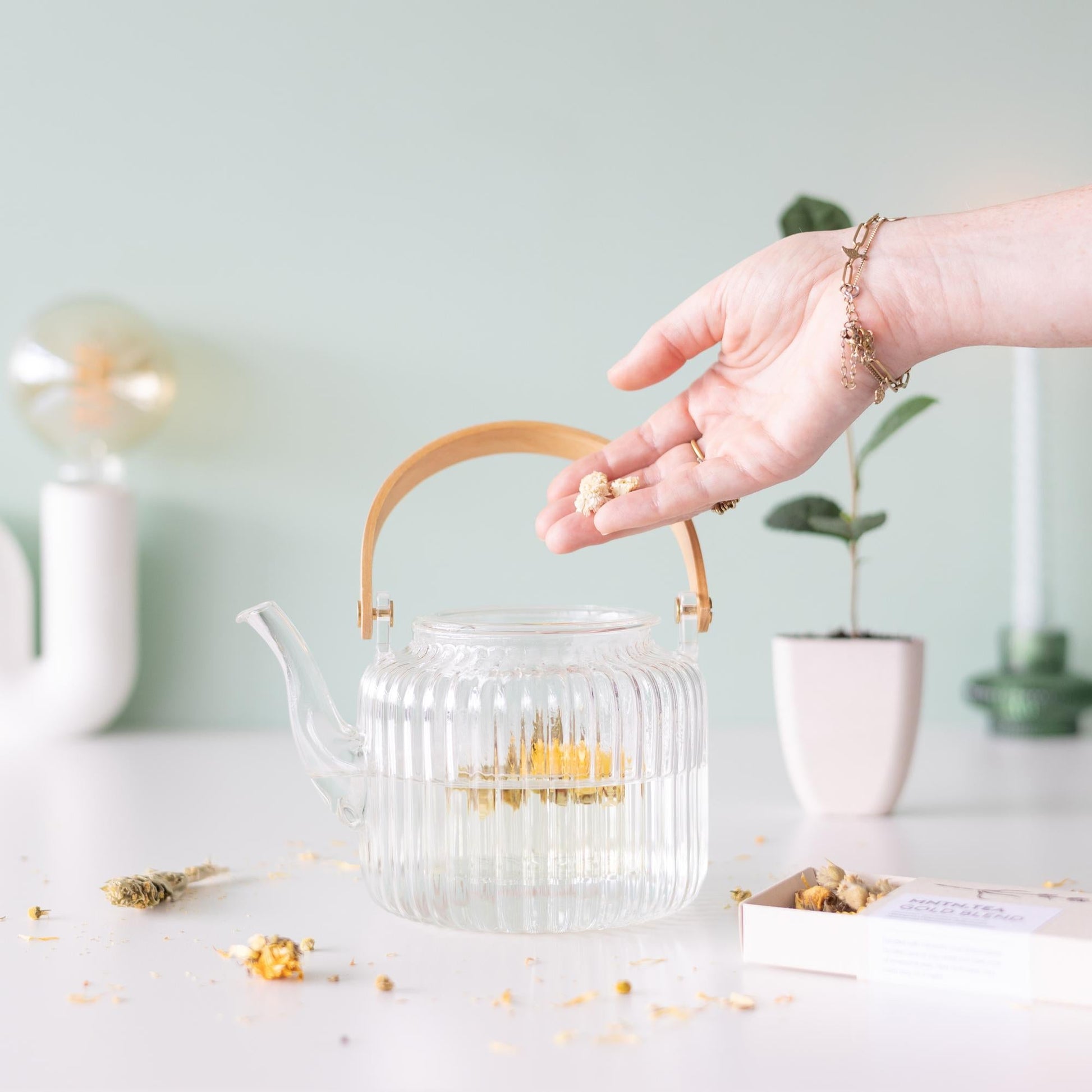 Tea Break Brievenbus Cadeau – Biologische thee & baby theeplantje ☕🌱 - Happy City Plants