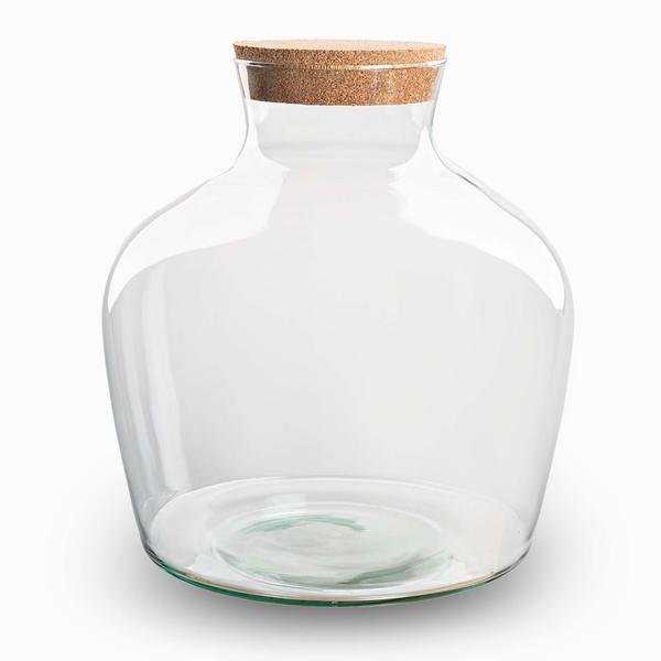 Terrarium fles met kurk - 'Fat Joe' - Gesloten terrarium ↑ 30 cm - Happy City Plants