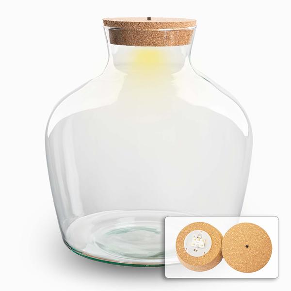 Terrarium fles met kurk - Fat Joe + led kurk - Gesloten terrarium ↑ 30 cm - Happy City Plants