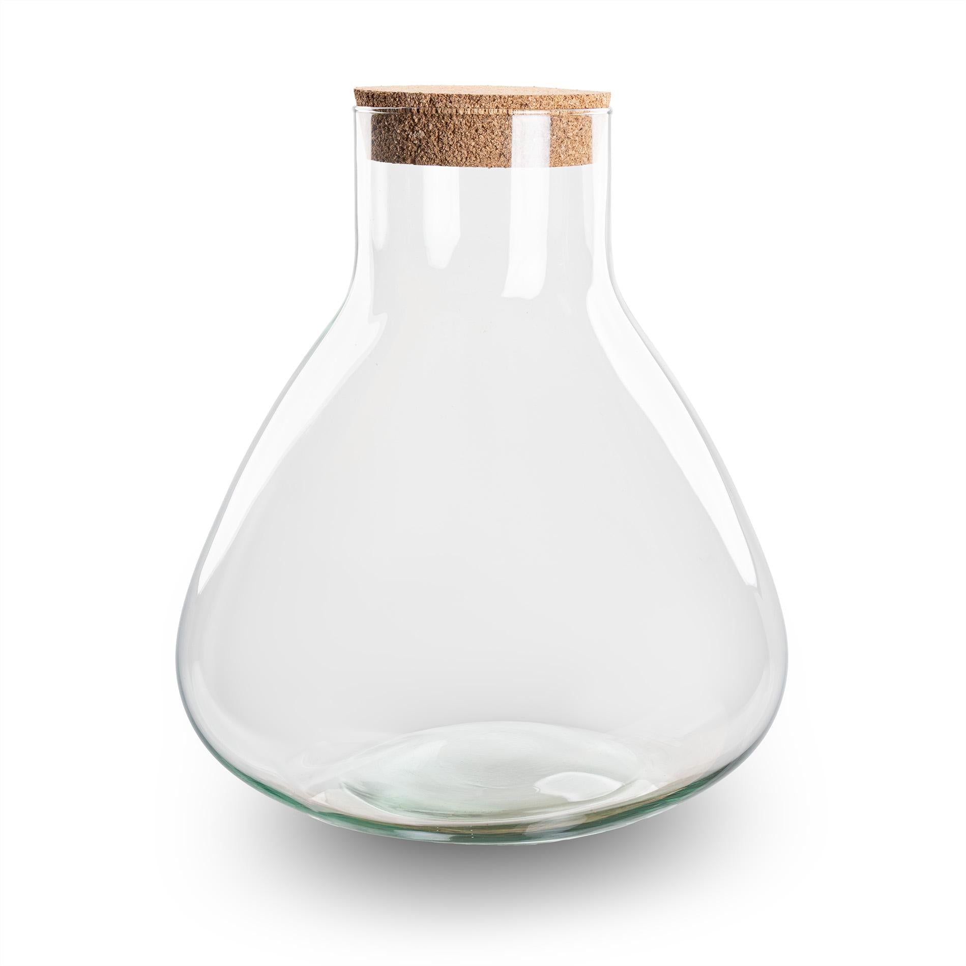 Terrarium fles met kurk - Sammie - Ø 22,5 cm ↑ 27 cm - Happy City Plants
